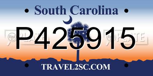 P425915 South Carolina License Plate