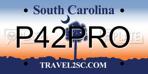 P42PRO South Carolina License Plate