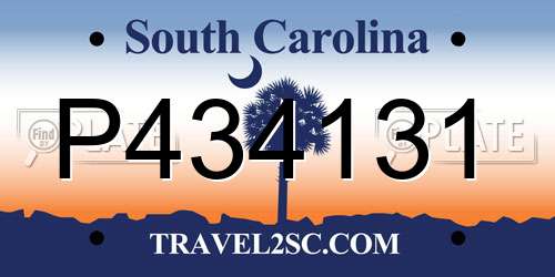 P434131 South Carolina License Plate
