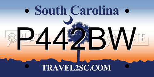 P442BW South Carolina License Plate