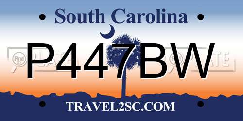 P447BW South Carolina License Plate