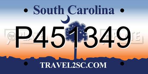 P451349 South Carolina License Plate