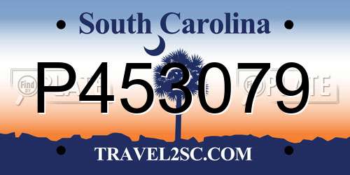 P453079 South Carolina License Plate