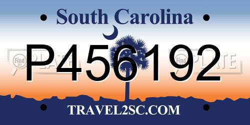 P456192 South Carolina License Plate