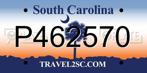 P462570 South Carolina License Plate