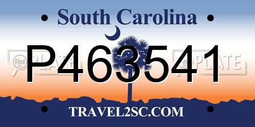 P463541 South Carolina License Plate