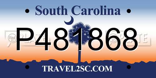 P481868 South Carolina License Plate