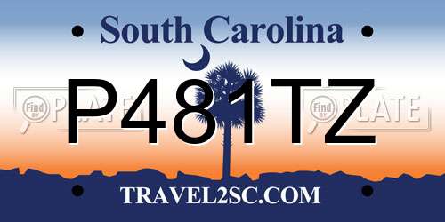 P481TZ South Carolina License Plate