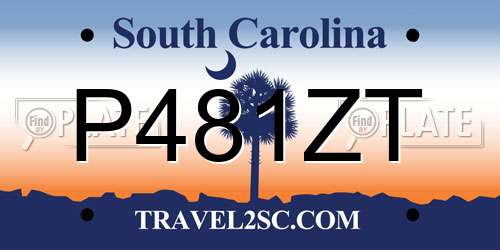 P481ZT South Carolina License Plate