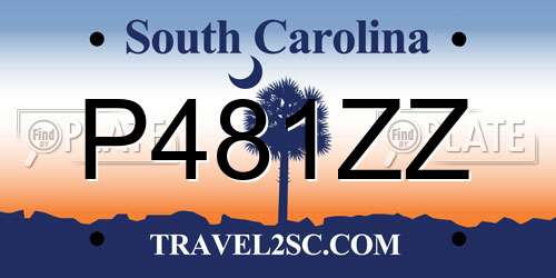 P481ZZ South Carolina License Plate