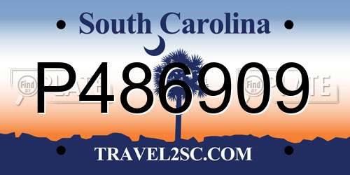 P486909 South Carolina License Plate