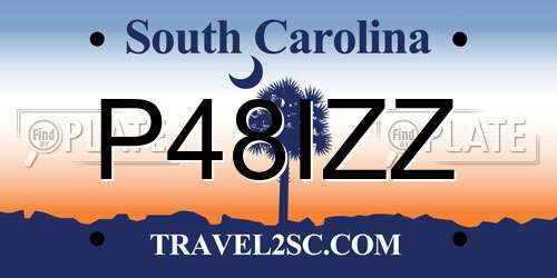 P48IZZ South Carolina License Plate