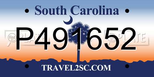 P491652 South Carolina License Plate