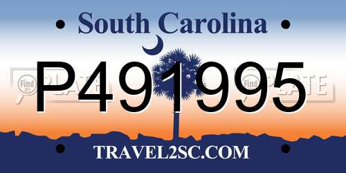 P491995 South Carolina License Plate