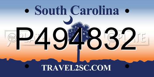 P494832 South Carolina License Plate