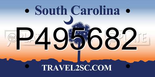 P495682 South Carolina License Plate