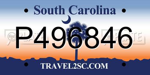 P496846 South Carolina License Plate
