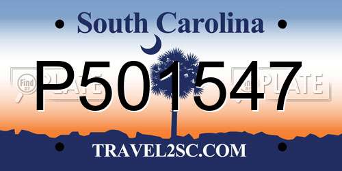 P501547 South Carolina License Plate