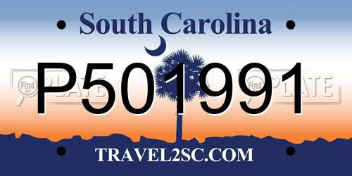 P501991 South Carolina License Plate