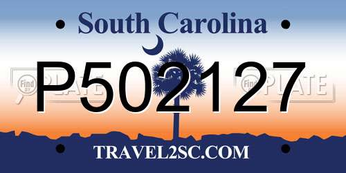 P502127 South Carolina License Plate