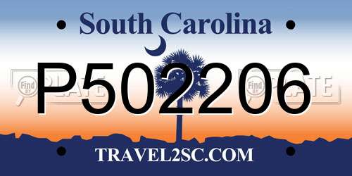P502206 South Carolina License Plate