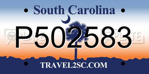 P502583 South Carolina License Plate