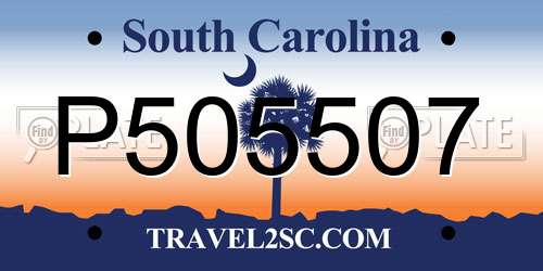P505507 South Carolina License Plate