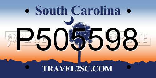 P505598 South Carolina License Plate