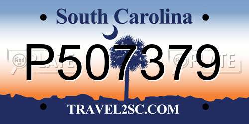 P507379 South Carolina License Plate