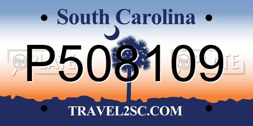 P508109 South Carolina License Plate