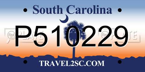 P510229 South Carolina License Plate