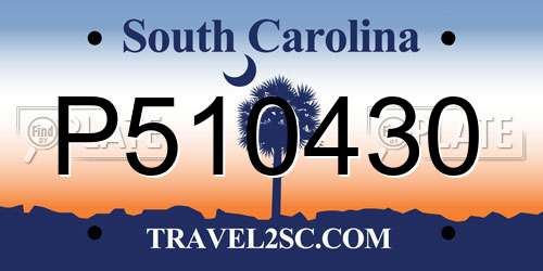 P510430 South Carolina License Plate