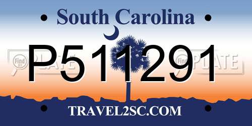 P511291 South Carolina License Plate