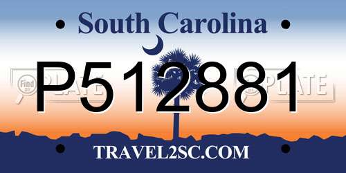 P512881 South Carolina License Plate
