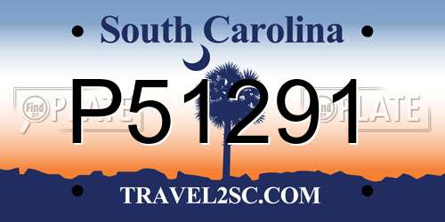 P51291 South Carolina License Plate