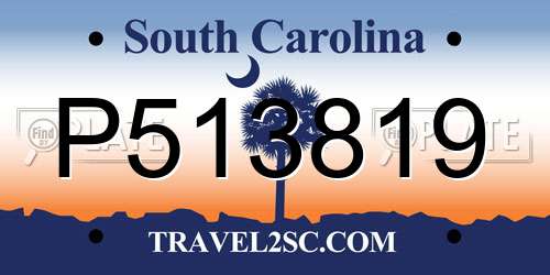 P513819 South Carolina License Plate