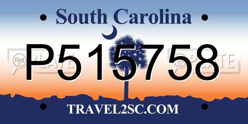 P515758 South Carolina License Plate