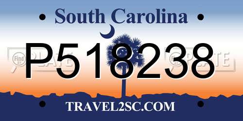 P518238 South Carolina License Plate
