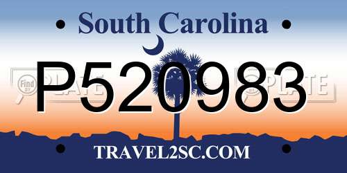 P520983 South Carolina License Plate