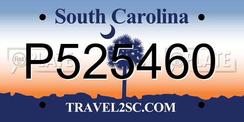P525460 South Carolina License Plate