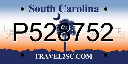 P528752 South Carolina License Plate