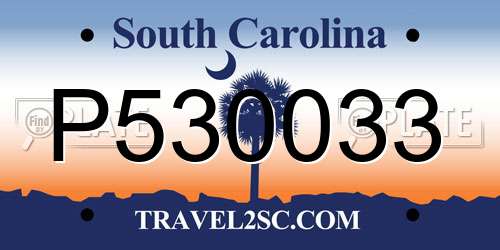 P530033 South Carolina License Plate
