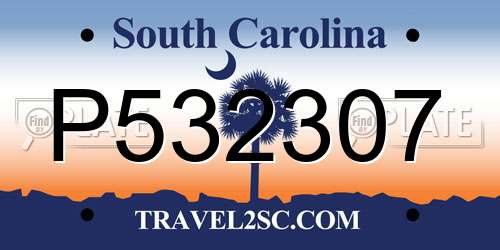 P532307 South Carolina License Plate