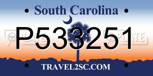 P533251 South Carolina License Plate