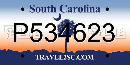 P534623 South Carolina License Plate