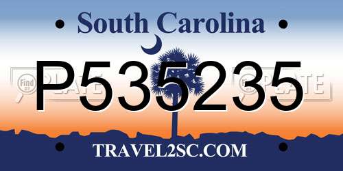 P535235 South Carolina License Plate