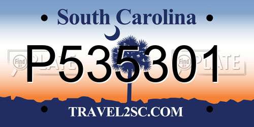 P535301 South Carolina License Plate