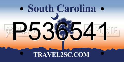 P536541 South Carolina License Plate
