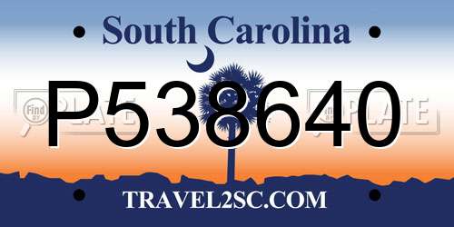 P538640 South Carolina License Plate