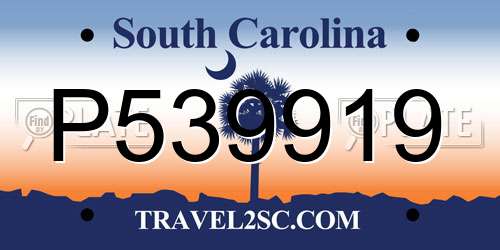 P539919 South Carolina License Plate